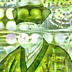 Rikyu