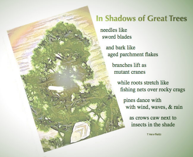 In Shadows of Great Trees - an artwork & poem by T Newfields