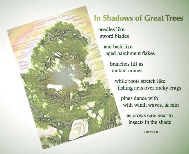 In Shadows of Great Trees - an artwork & poem by T Newfields