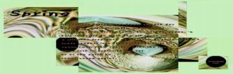 Spring - a graphic poem by T Newfields