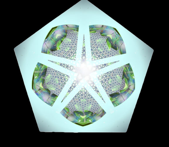 Plankton - an art work by T Newfields