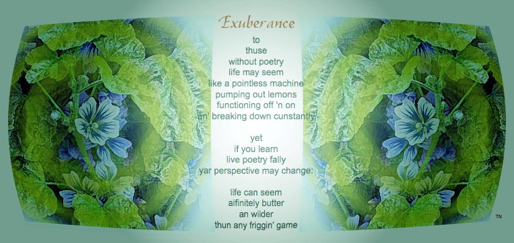 Exuberance - an art work and poem by T Newfields