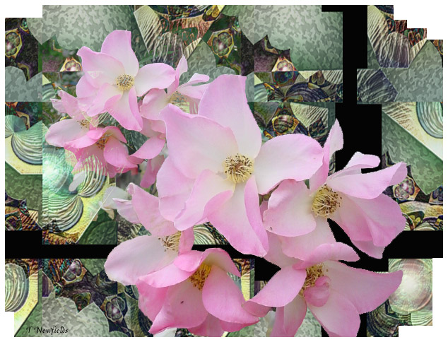 The Secrets of Flowers - an art work by T Newfields