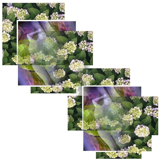 Floral Memory - an art work by T Newfields