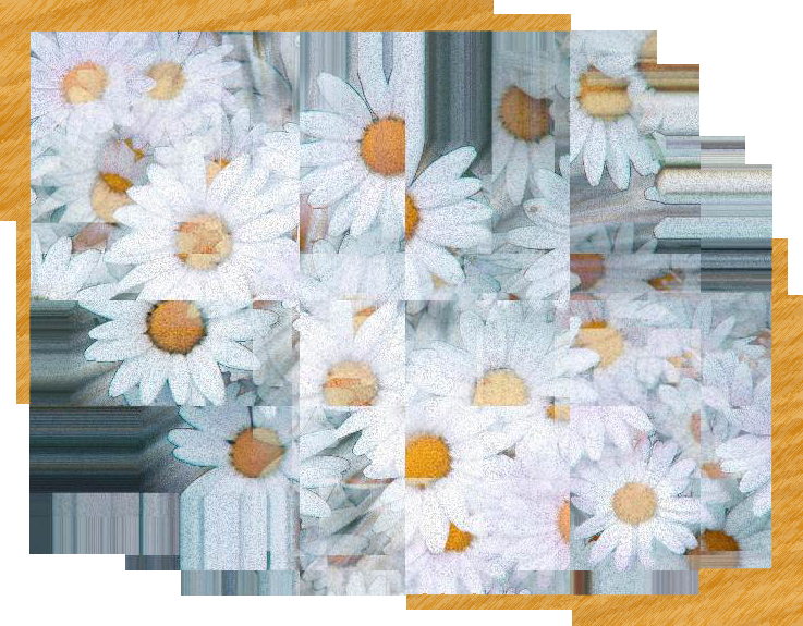 Spring Symphony - an artwork by T Newfields