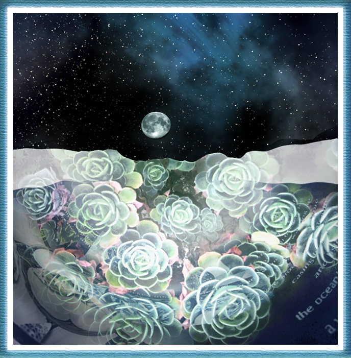 Plant Dream - an artwork by T Newfields