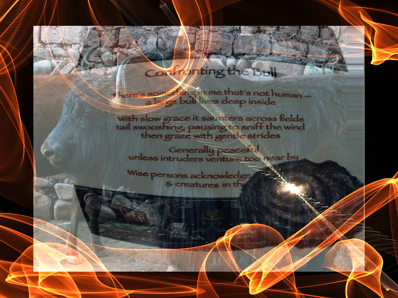 Confronting the Bull - a pictoral poem by T Newfields