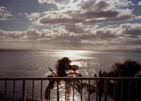 All of the world I need to see - a photo by Jean Price Norman [The Charles Horne Collection]