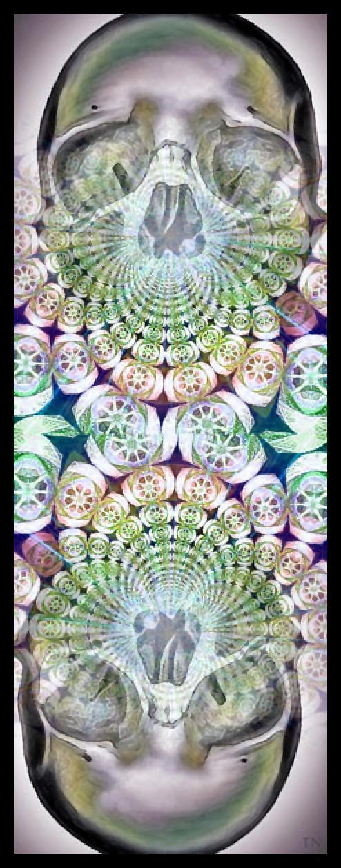 Time Cycles - an art work by T Newfields
