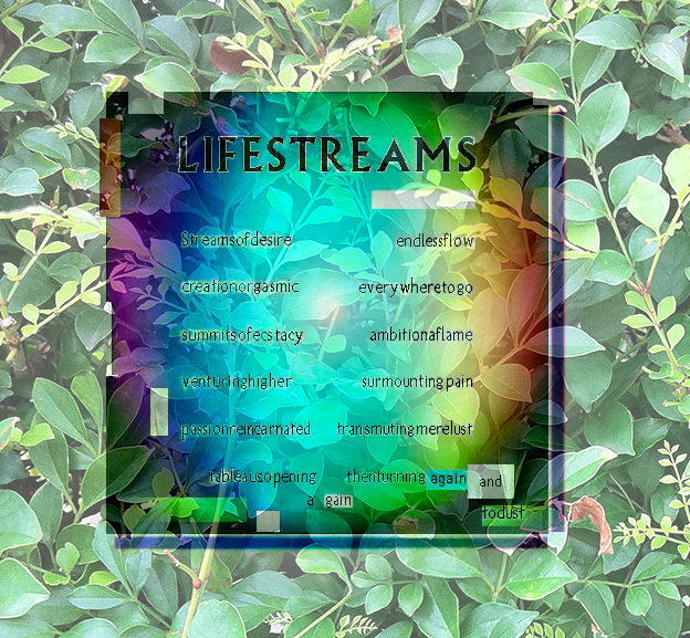 LIFESTREAMS