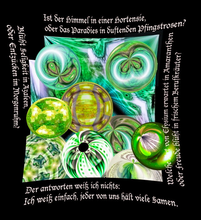 Samen Schmiede - ein Gedicht und Kunstwerk über Blumenrausch von T Newfields