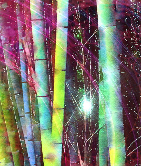 Bamboo - a digital image by T Newfields