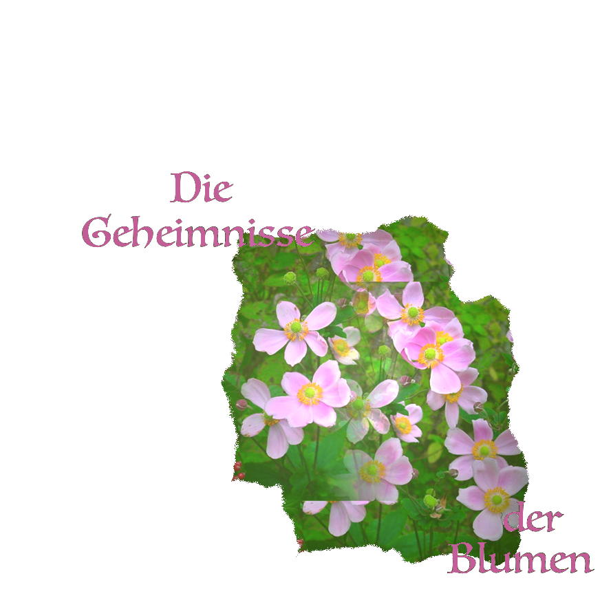 Die Geheimnisse der Blumen - ein Kunstwerk von T Newfields