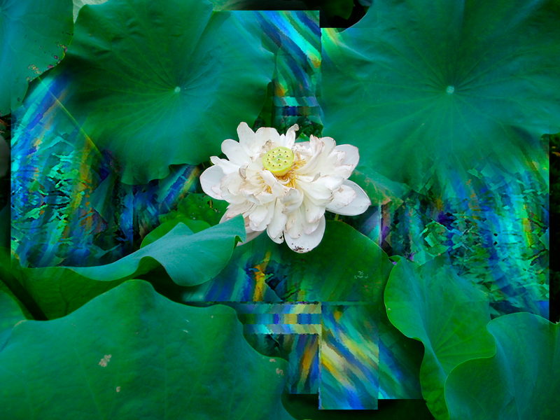 Fe en Primavera - an art work by T Newfields