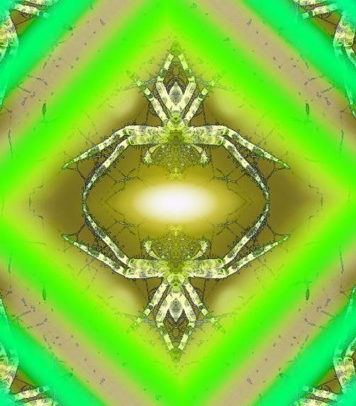 Meditación De la Araña - un arte de T Newfields