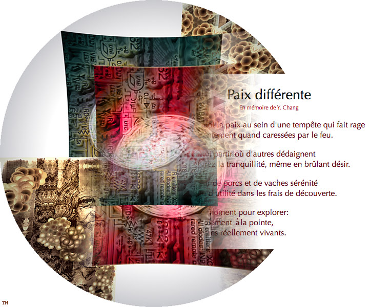 Paix différente I - an art work by T Newfields