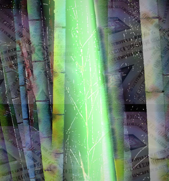 Bamboo - a digital image by T Newfields
