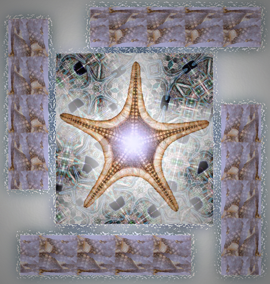 Starfish / toiles de mer / Estrellas de mar / Hitode - an art work by T Newfields