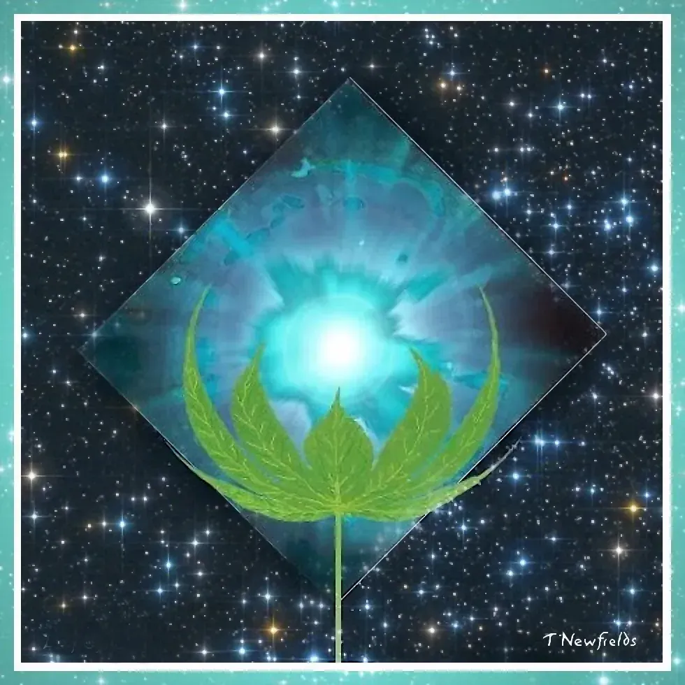Leaf Opening - an artwork by T Newfields