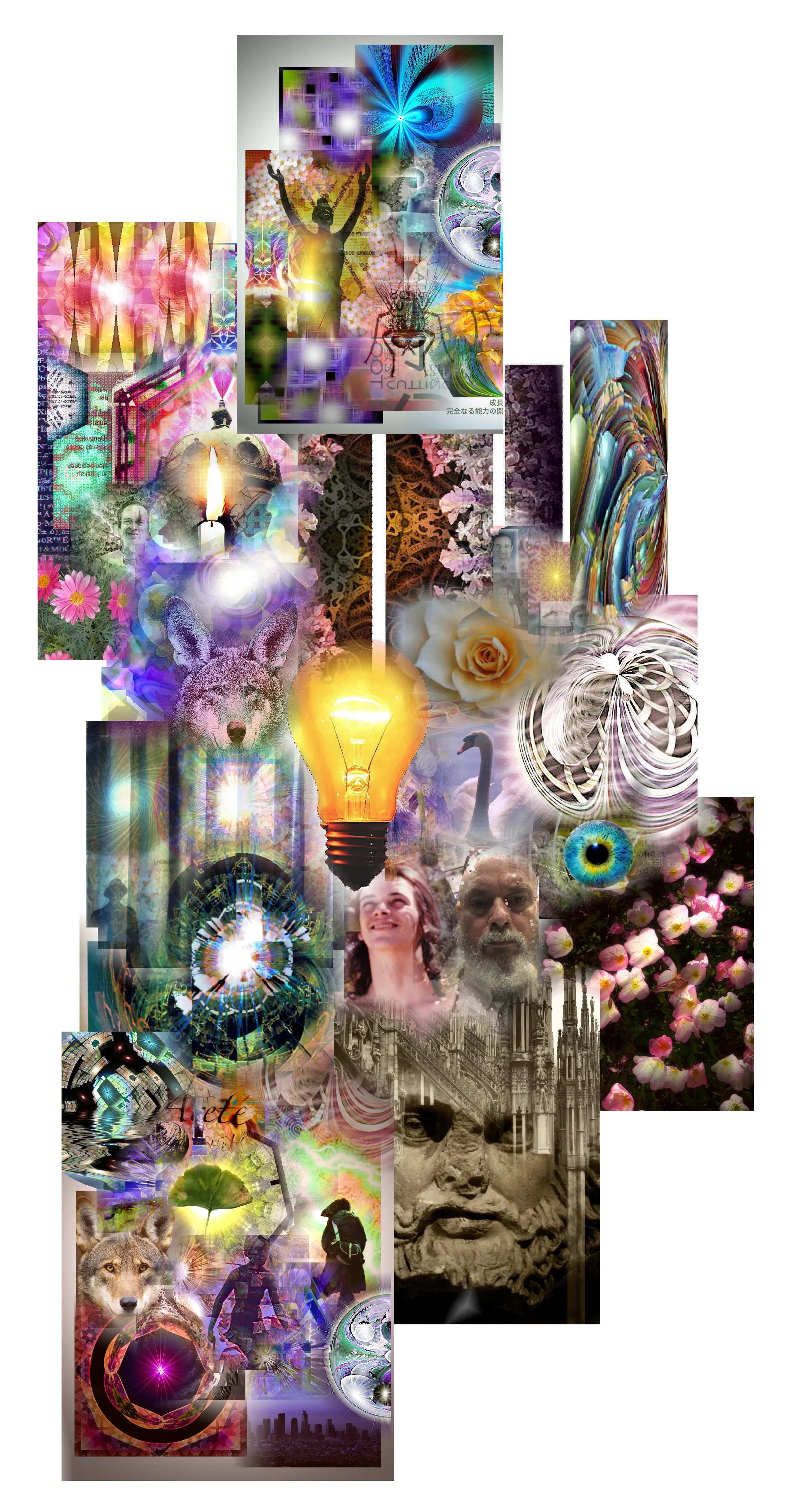 LA SAGRADA ARITMÉTICA DE LO MÍNIMO: Reflexiones obre la Simplicidad y el Exceso - Una manipulación gráfica de T Newfields