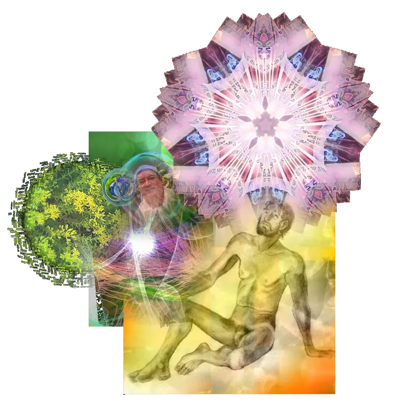 Seinaru sagi-shi-tachi - Nyuufiiruzu T Yori no E