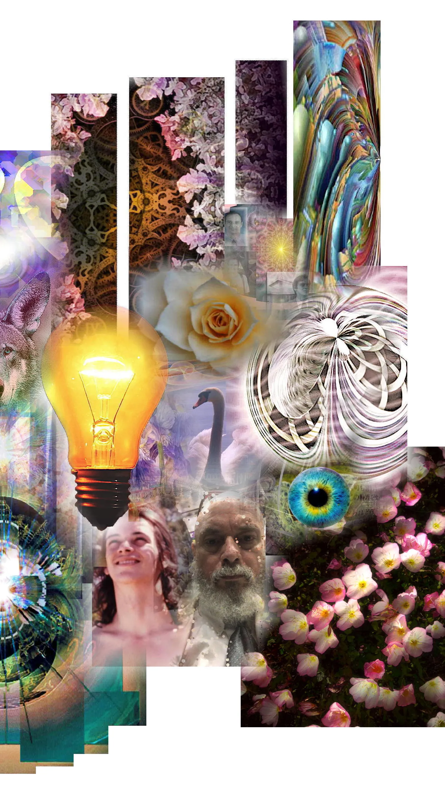 Wēntūn chá - Une illustrations par T Newfields